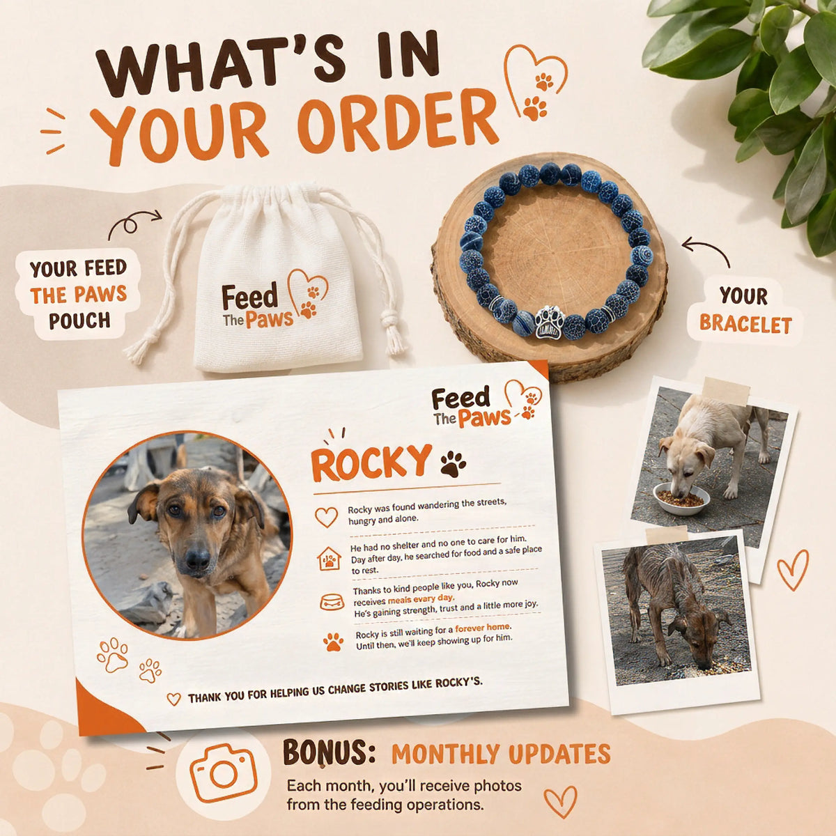 Lovira Paws Bracelet