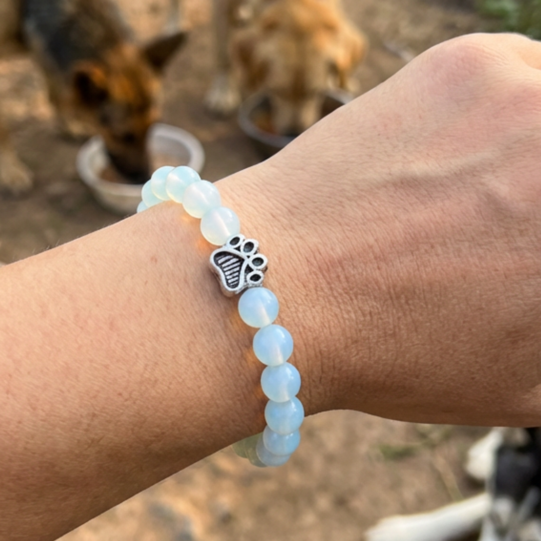Silver Paws Bracelet