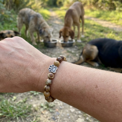 Desert Paws Bracelet