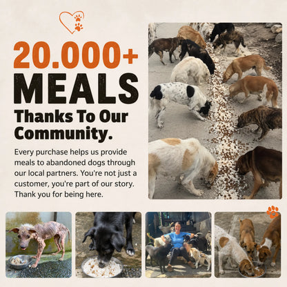 Ember Paws Bracelet