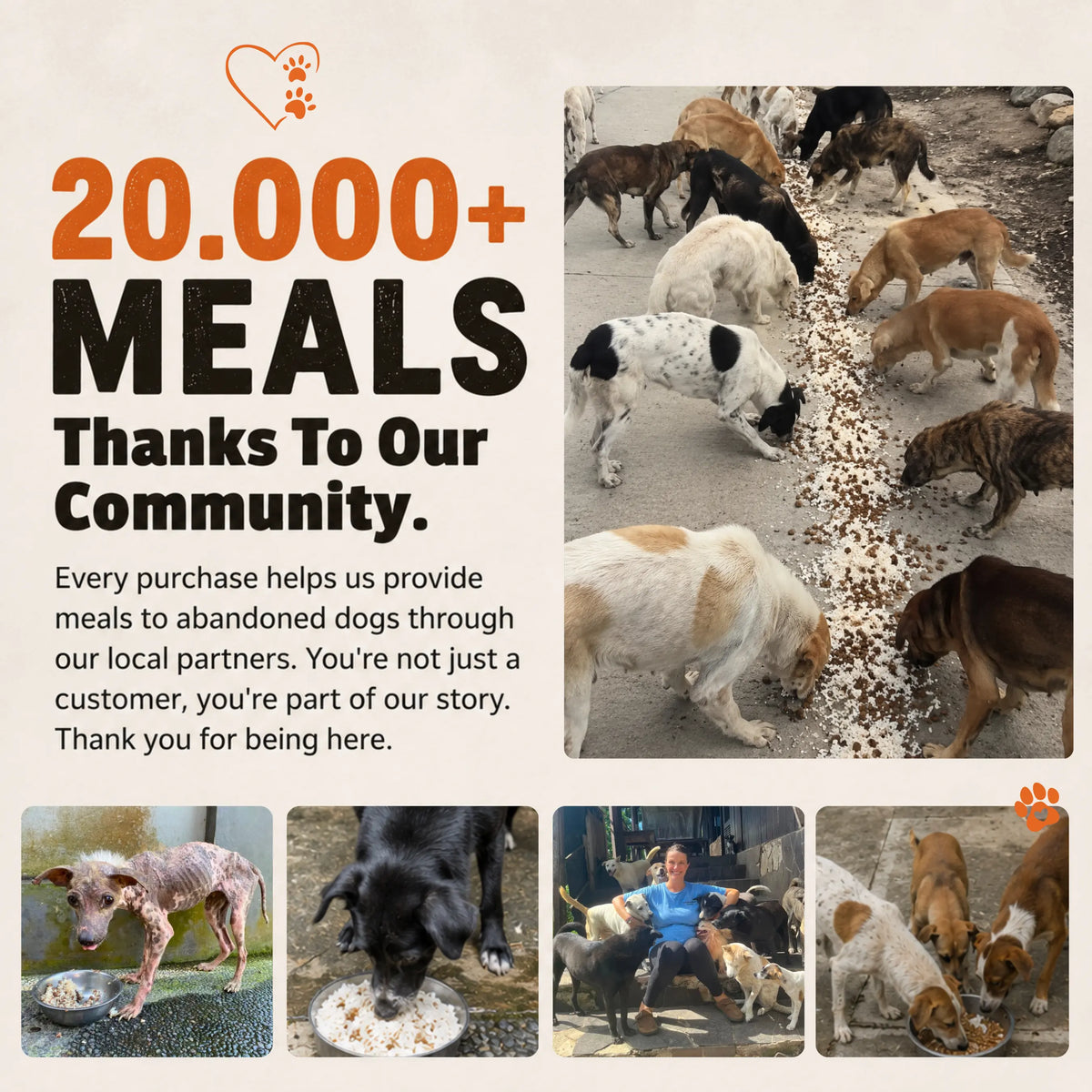 Dusk Paws Bracelet