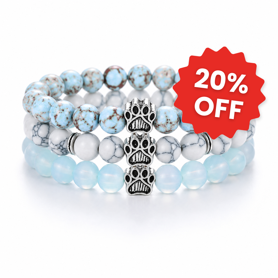 Paws Trio Set (Lagoon + Arctic + Moonlight)