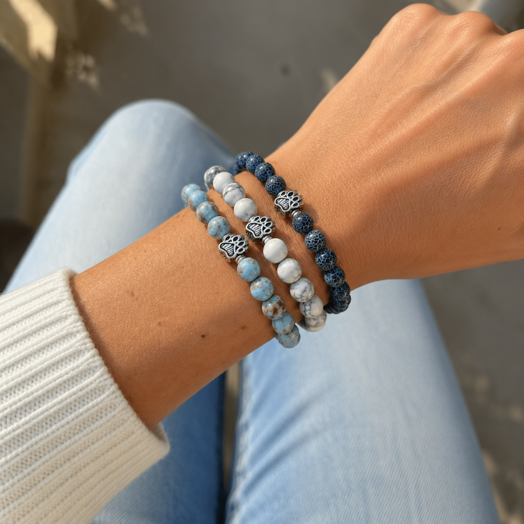 Paws Trio Set (Ocean + Arctic + Lagoon)