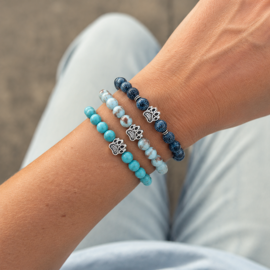 Paws Trio Set (Ocean + Lagoon + Azure)