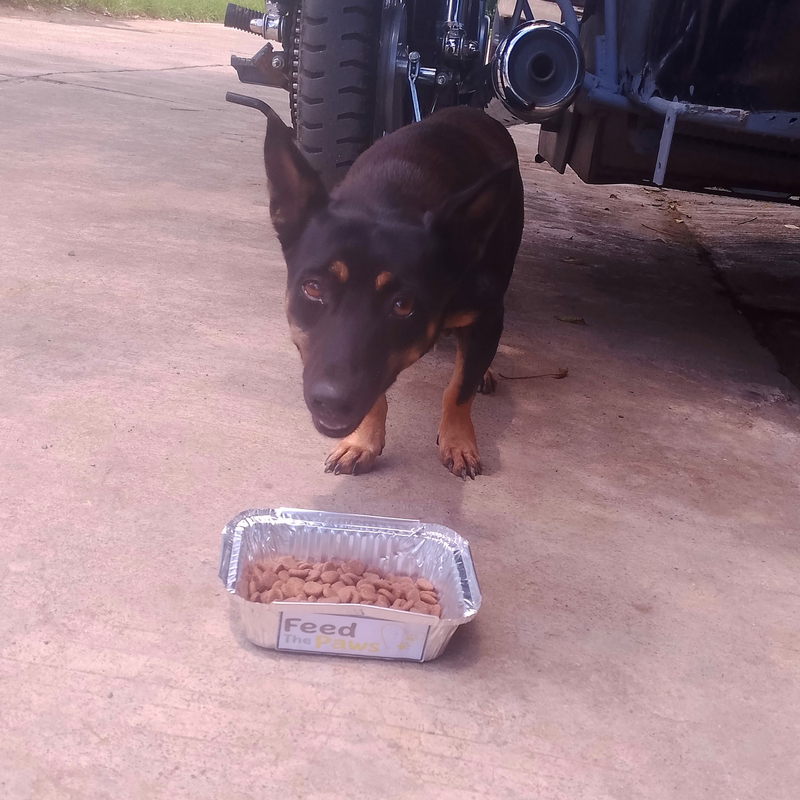 Feeding operation photo
