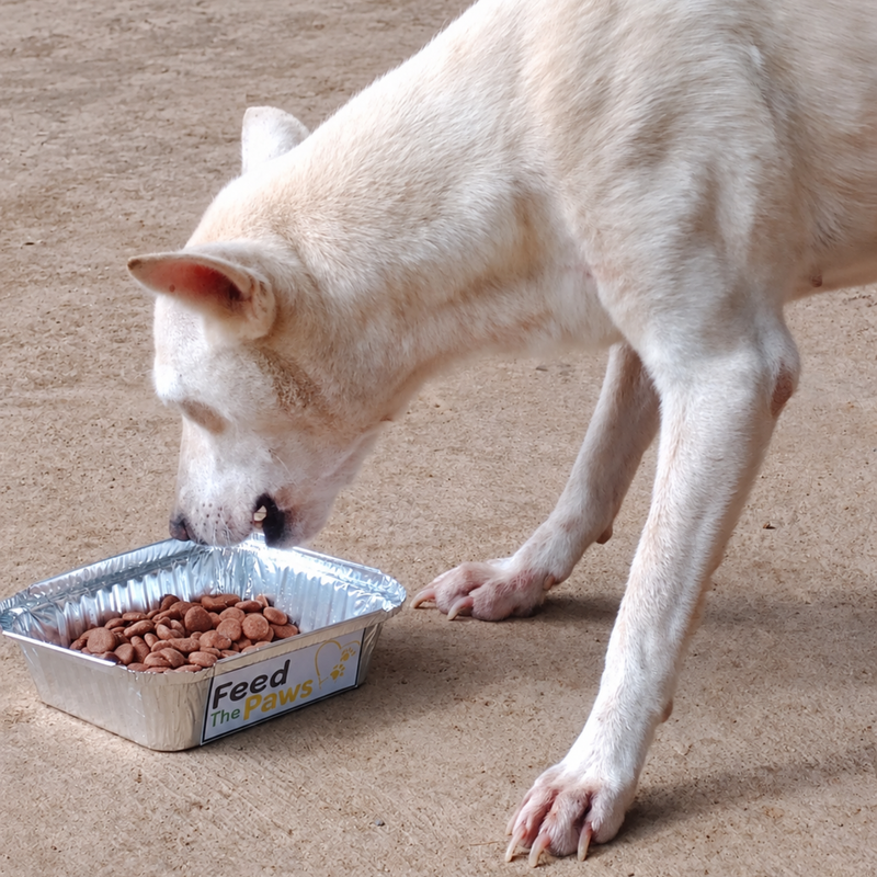Feeding operation photo