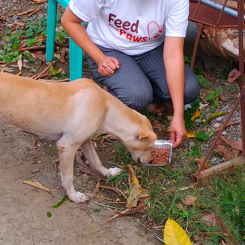Feeding operation photo