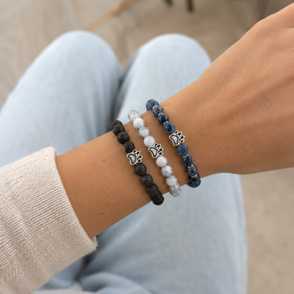 Paws Trio Set (Ocean + Arctic + Lava)