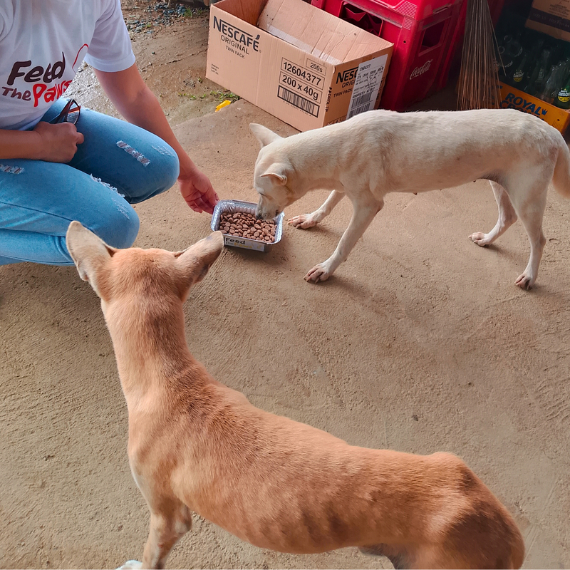 Feeding operation photo