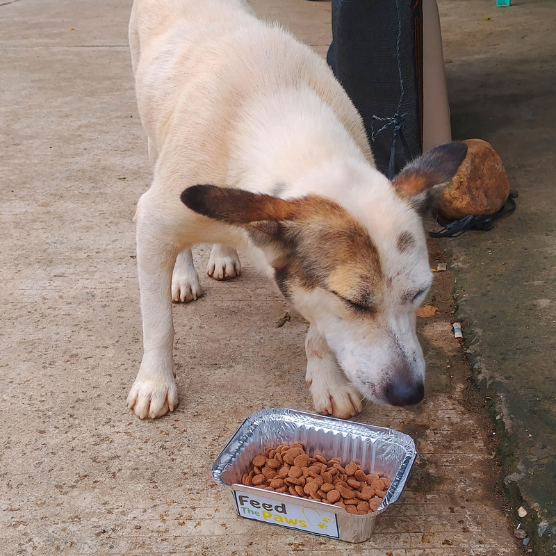 Feeding operation photo