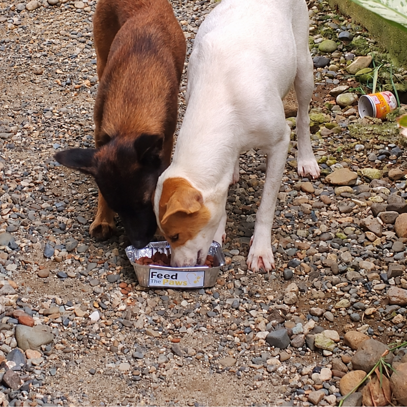Feeding operation photo