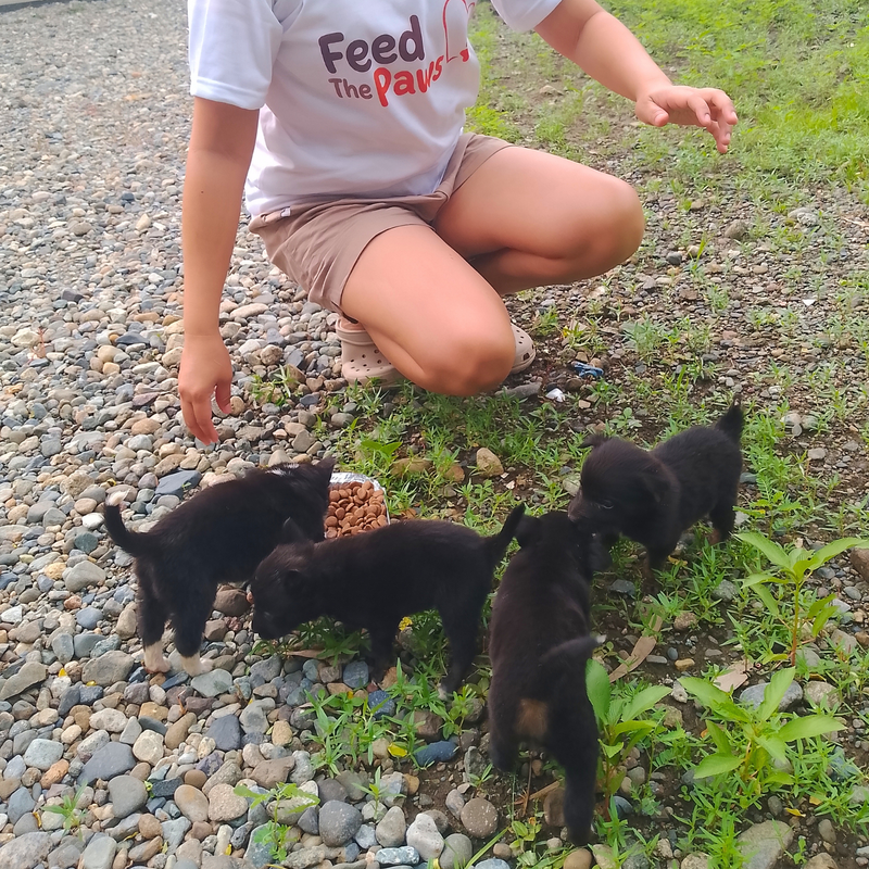 Feeding operation photo