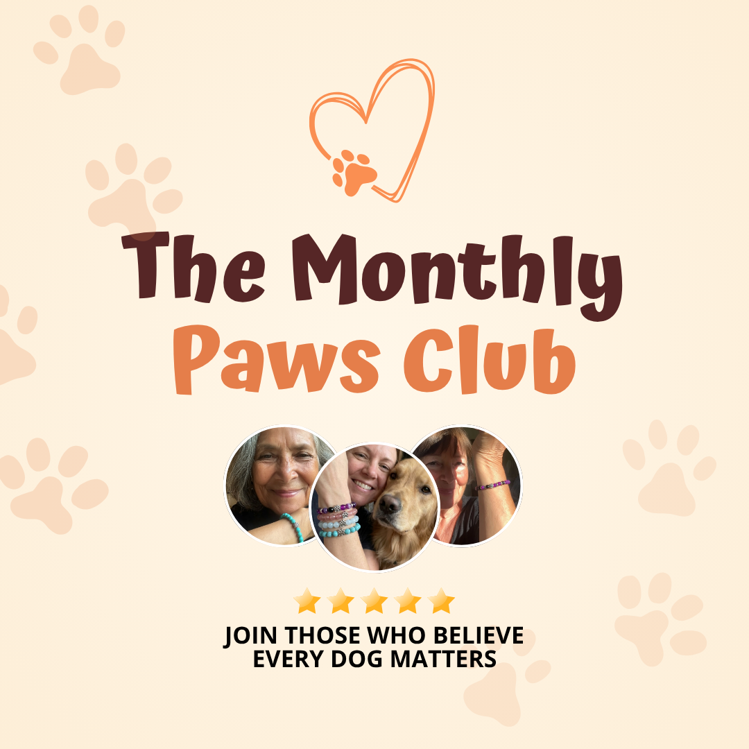 The Feeding Paws Club
