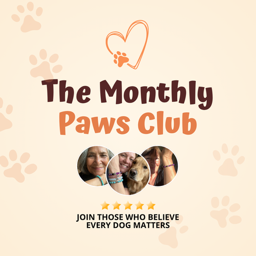 The Feeding Paws Club