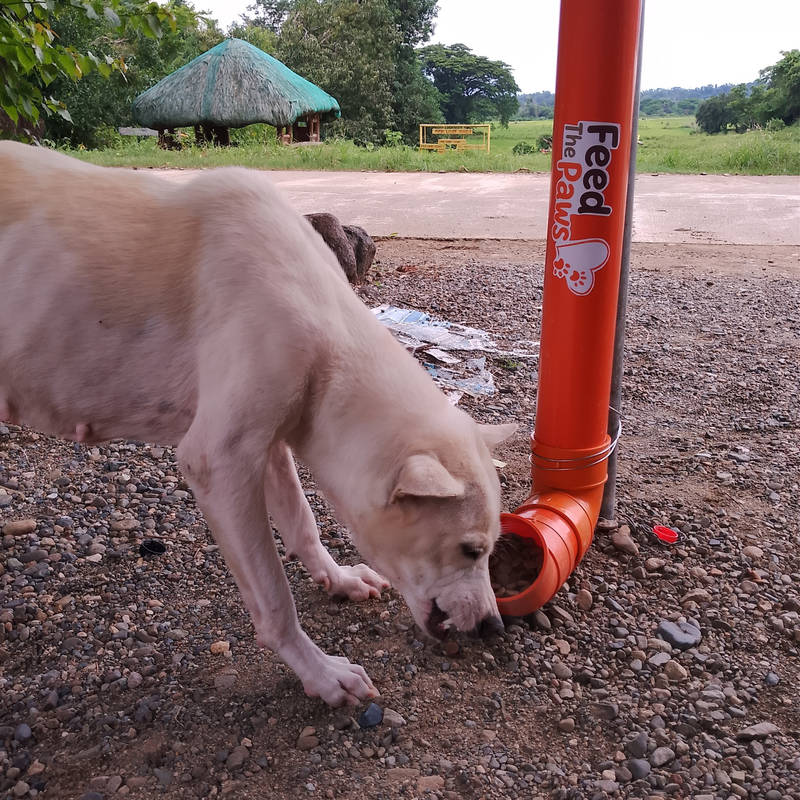 Feeding operation photo