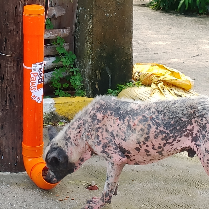 Feeding operation photo