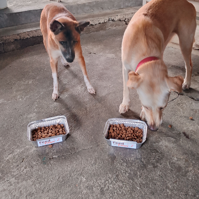 Feeding operation photo
