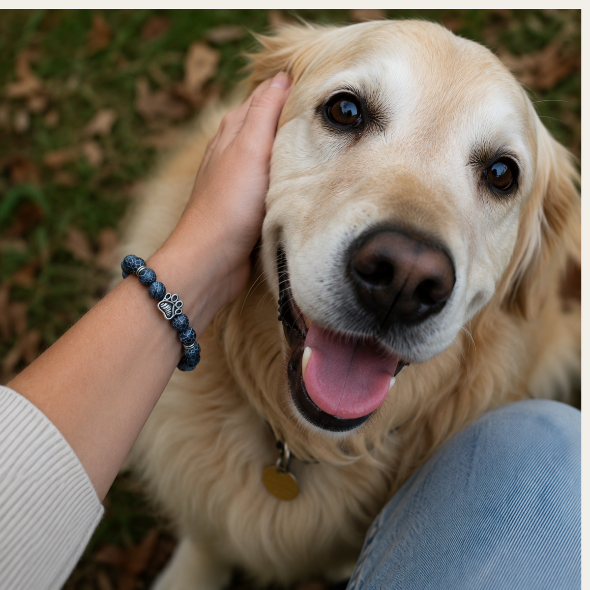 Tide Paws Bracelet