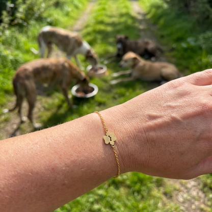 Amoria Paws Bracelet