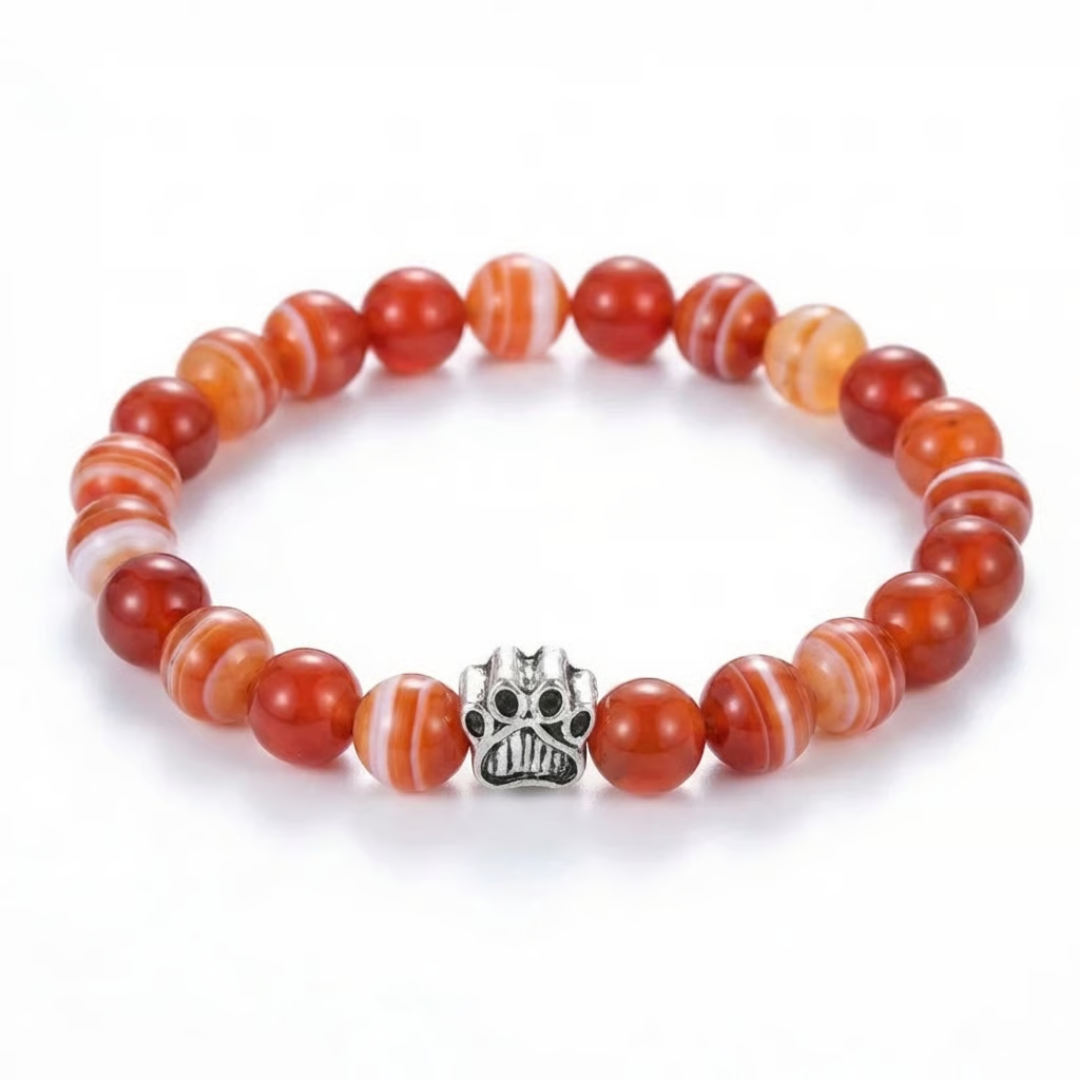 Honey Paws Bracelet