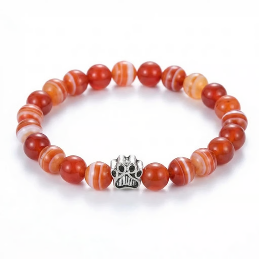 Honey Paws Bracelet