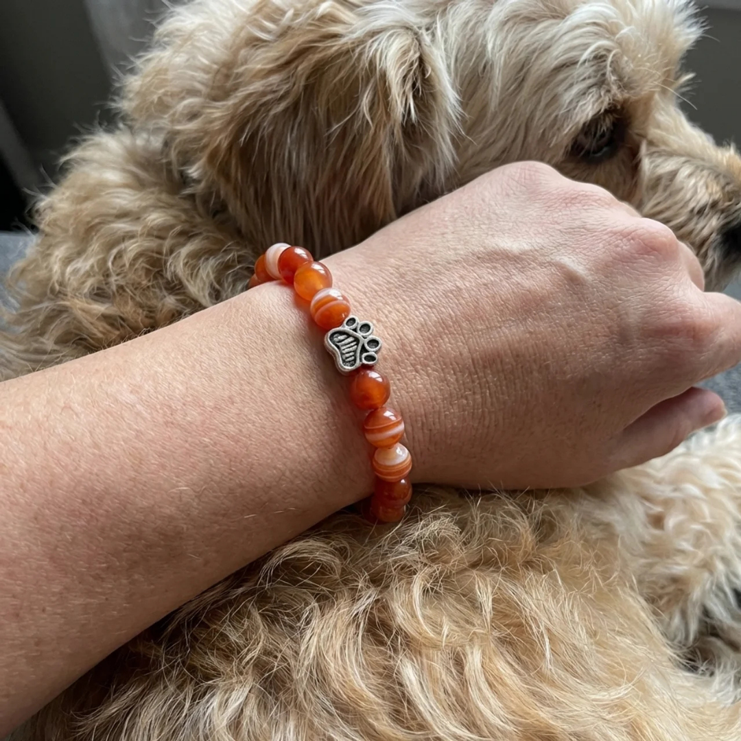 Honey Paws Bracelet