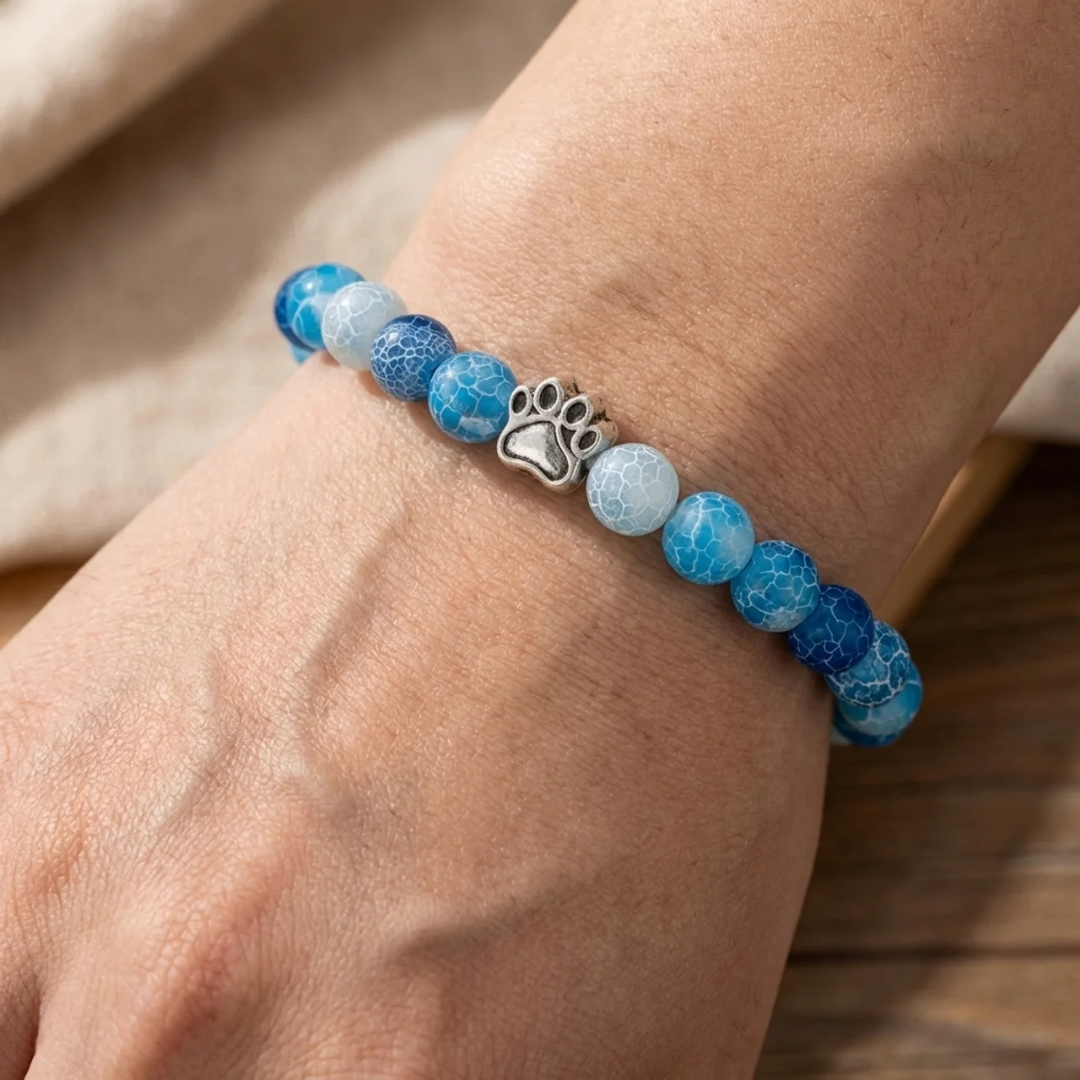 Current Paws Bracelet