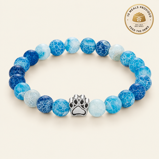 Current Paws Bracelet
