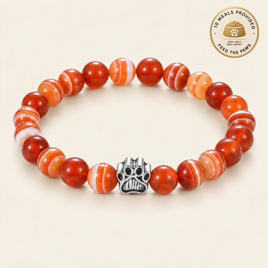 Honey Paws Bracelet