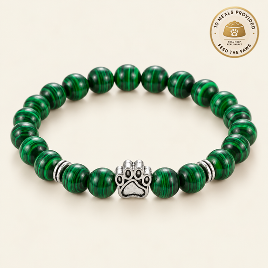 Reed Paws Bracelet