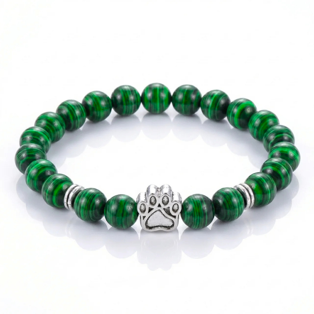 Reed Paws Bracelet
