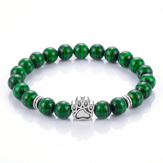 Reed Paws Bracelet