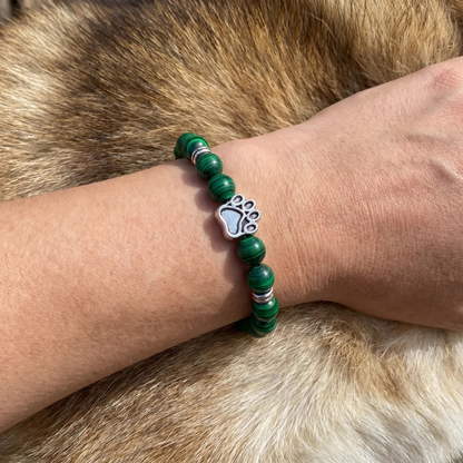 Reed Paws Bracelet